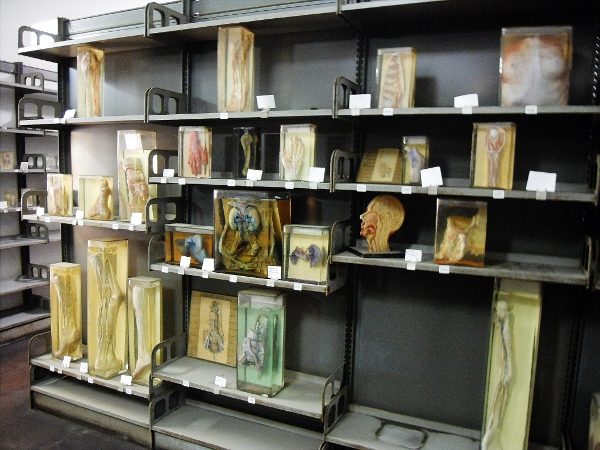 Istituto Carlo Forlanini (2) (600x450).jpg